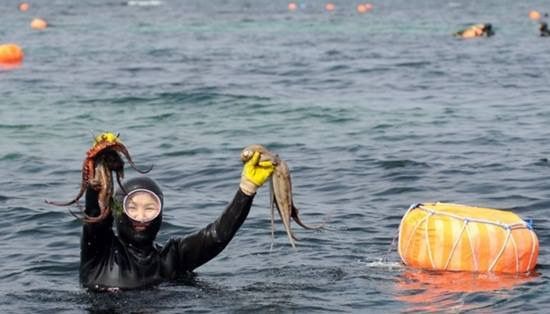 haenyo in sea