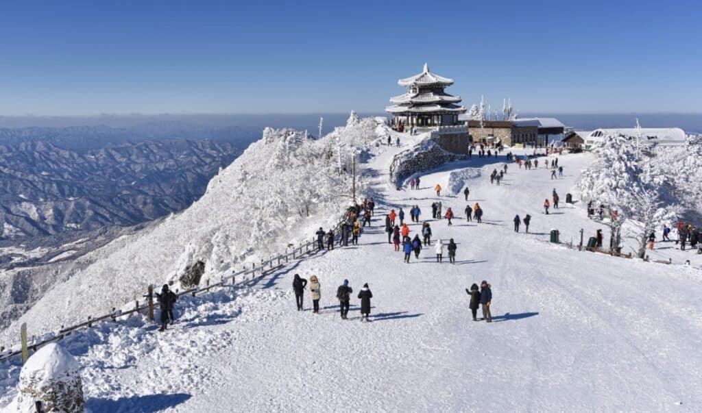 Best Winter Activities in South Korea 