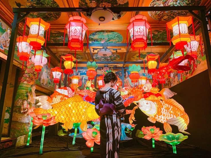 Illuminating Faith: The Magic of Korea's Lotus Lantern Festival